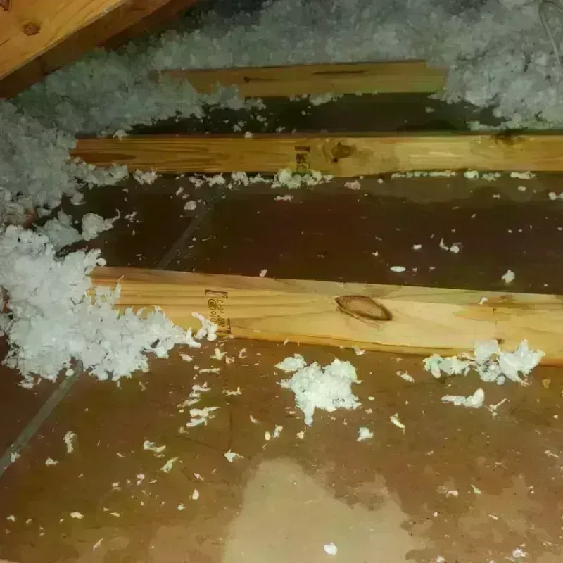 Attic Water Damage in Lofall, WA