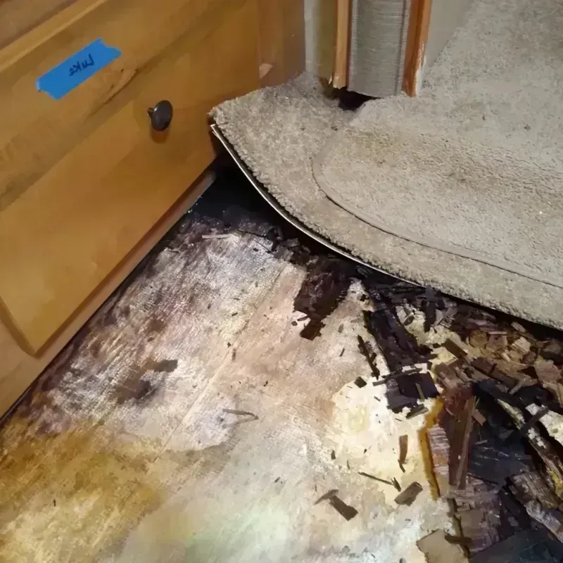 Wood Floor Water Damage in Lofall, WA